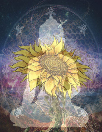 buddhaflower