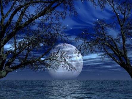 white-tigers-water-moon