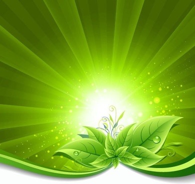 green_leaves_on_burst_background_vector_illustration_569695