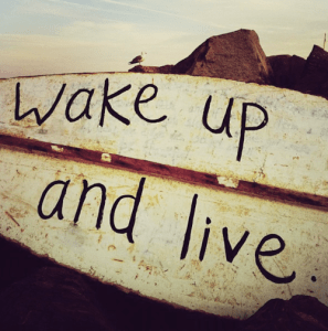 wake-up-and-live-board